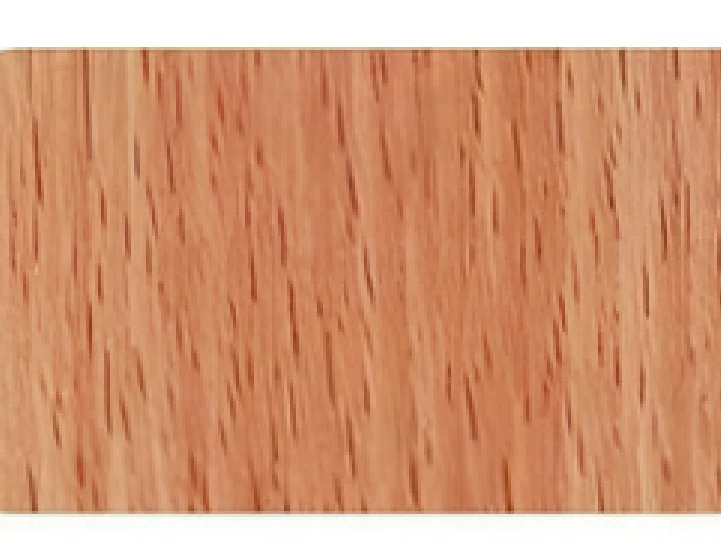 Goodsense BEECH · JXX-8036